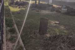 WhatsApp-Image-2024-04-20-at-18.47.12-1