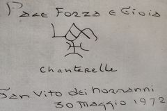 DOMENICA-DI-CARTA-Lanza-del-Vasto