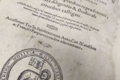 cinquecentina