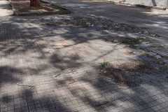 WhatsApp-Image-2022-03-27-at-11.07.01