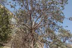 WhatsApp-Image-2022-03-27-at-11.07.09