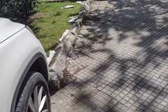 WhatsApp-Image-2022-03-27-at-11.07.50